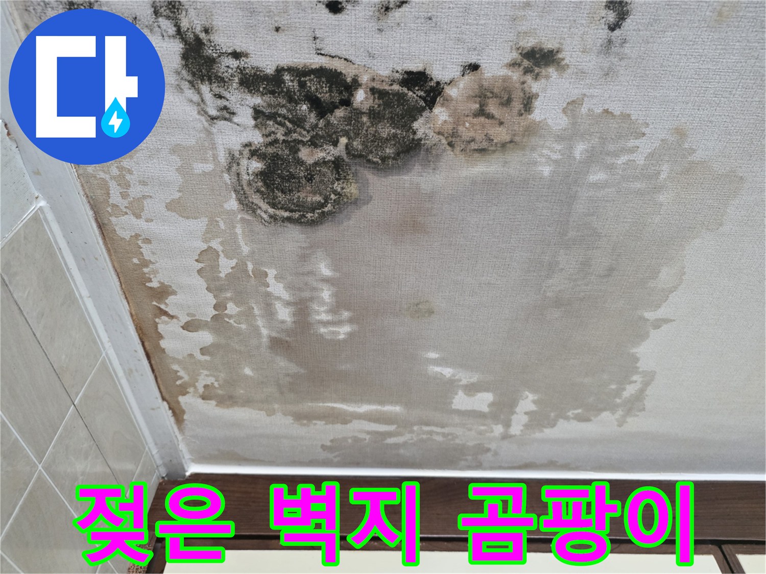 천장-벽지-들뜸과-심한-곰팡이-오염