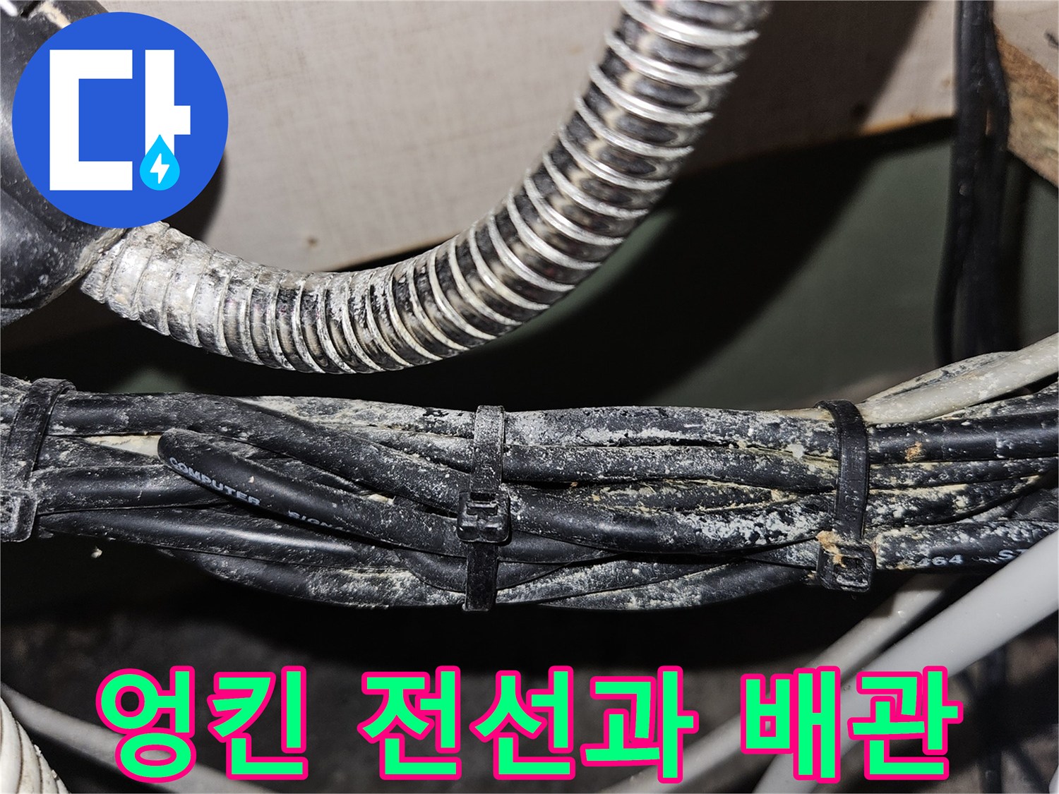 먼지가 쌓인 채 얽혀 있는 전기 배선과 금속제 주름관