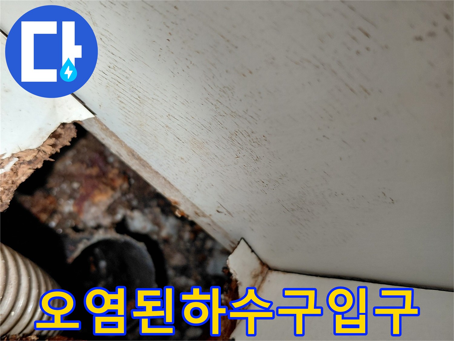 싱크대-하부장-내부-배관-주변의-역류-및-오염-현황
