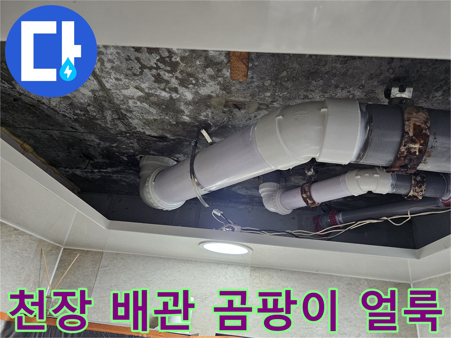 배관-연결부-근처의-천장-슬라브-곰팡이-얼룩