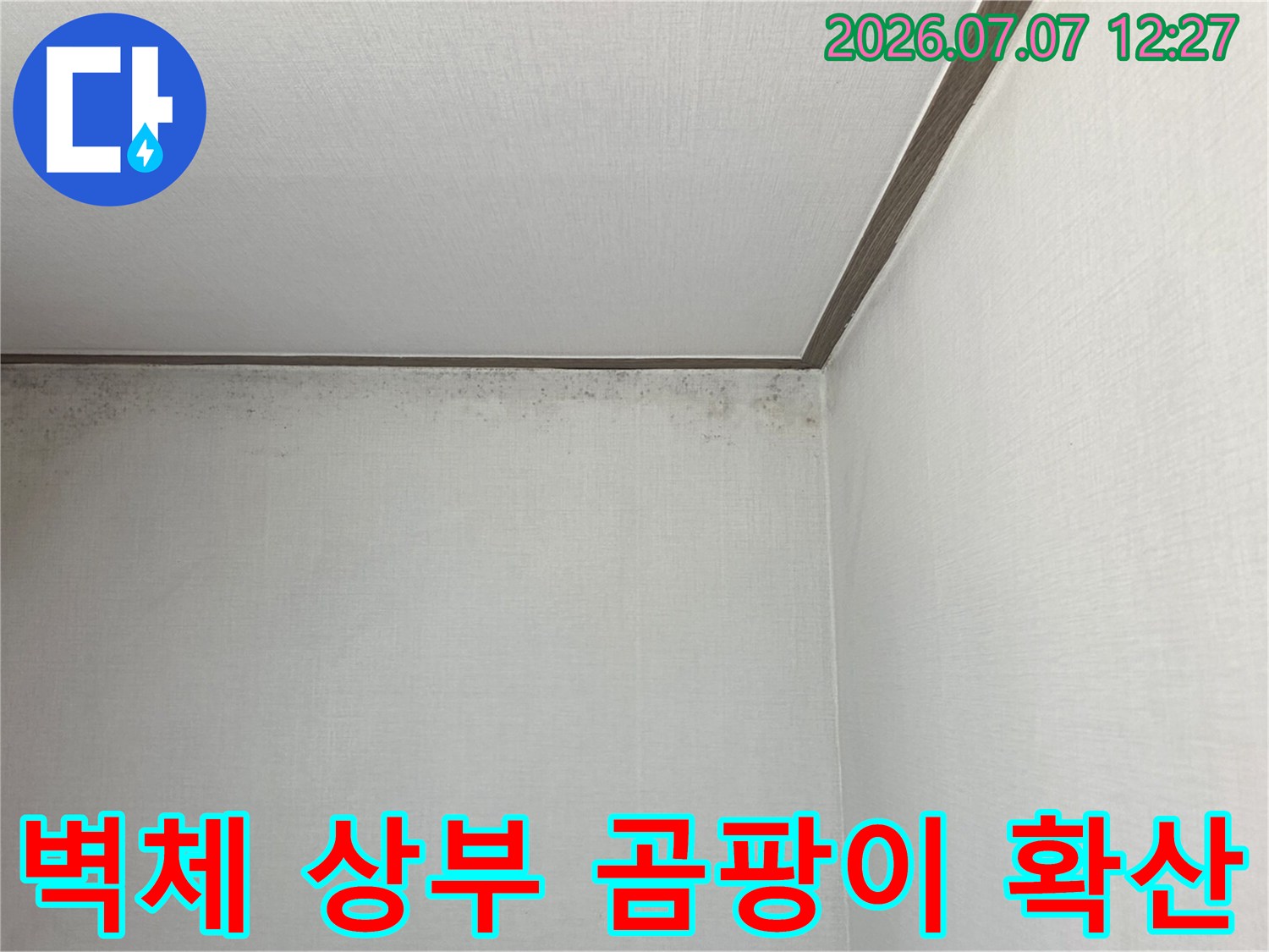 천장과 벽면 경계부에 발생한 누수로 인한 곰팡이와 오염 흔적