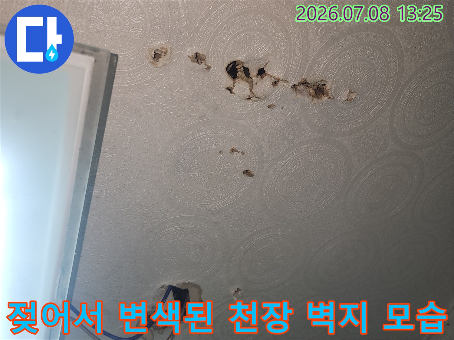 지속적인 누수로 인해 곰팡이와 오염이 발생한 화장실 천장