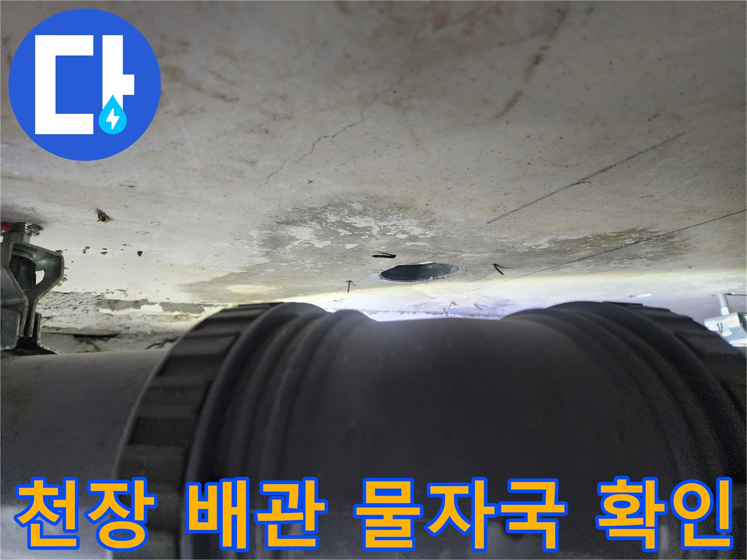 성북구 아파트 - 하수 배관 주변의 누수 흔적과 천장 얼룩