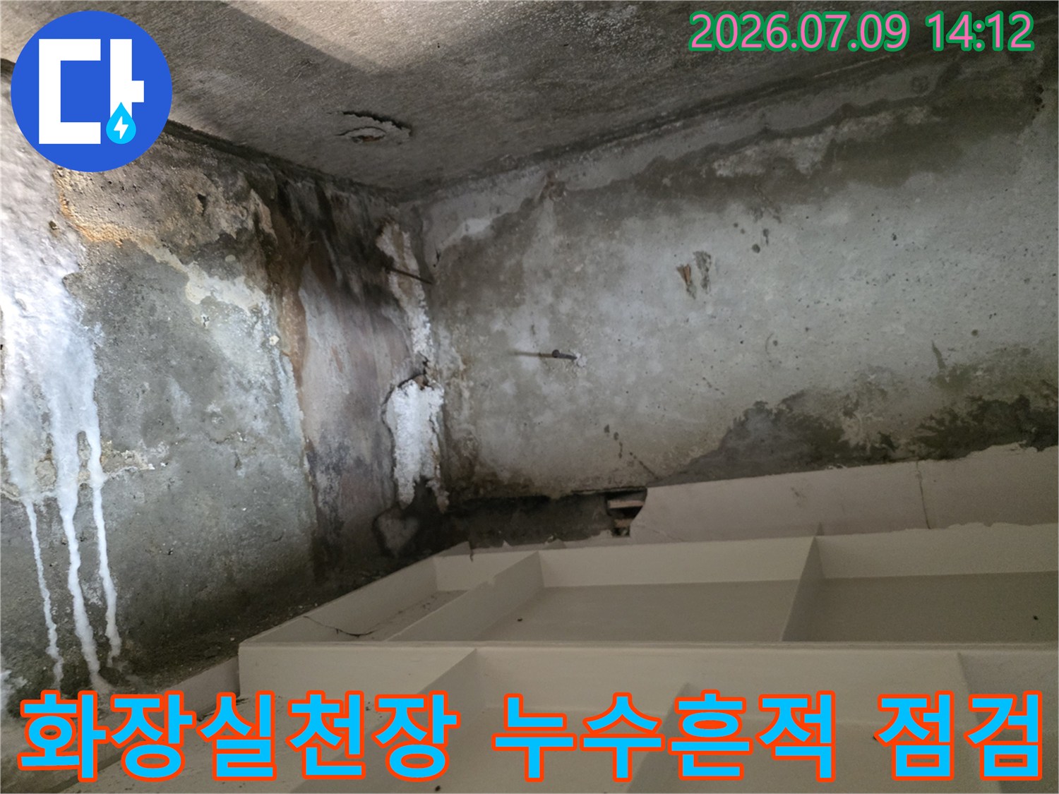 곰팡이와 물자국이 선명하게 남은 화장실 천장 내부 모습
