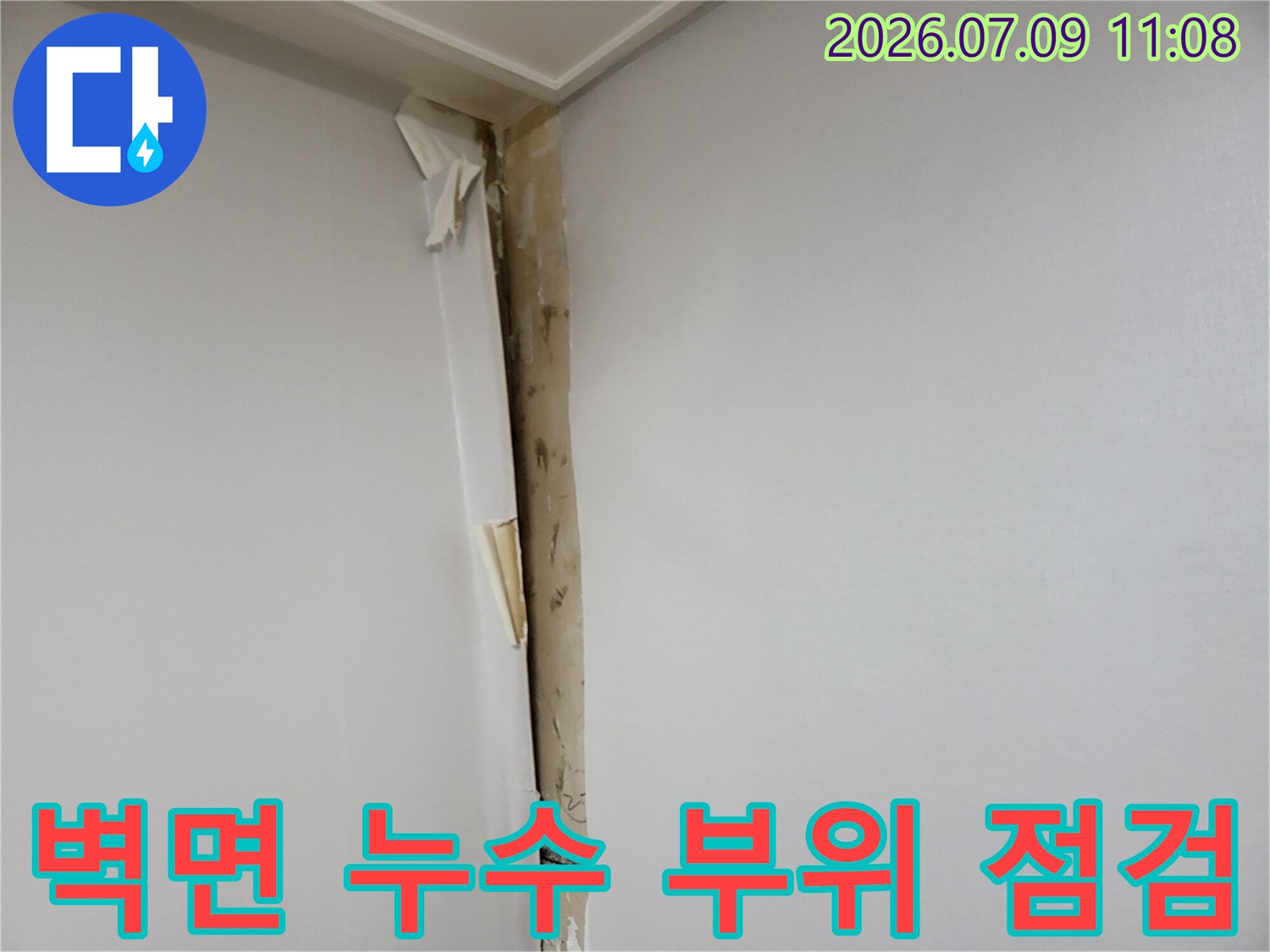 오염된 벽지와 마감재를 제거하고 노출된 내부 구조를 확인하는 현장 모습