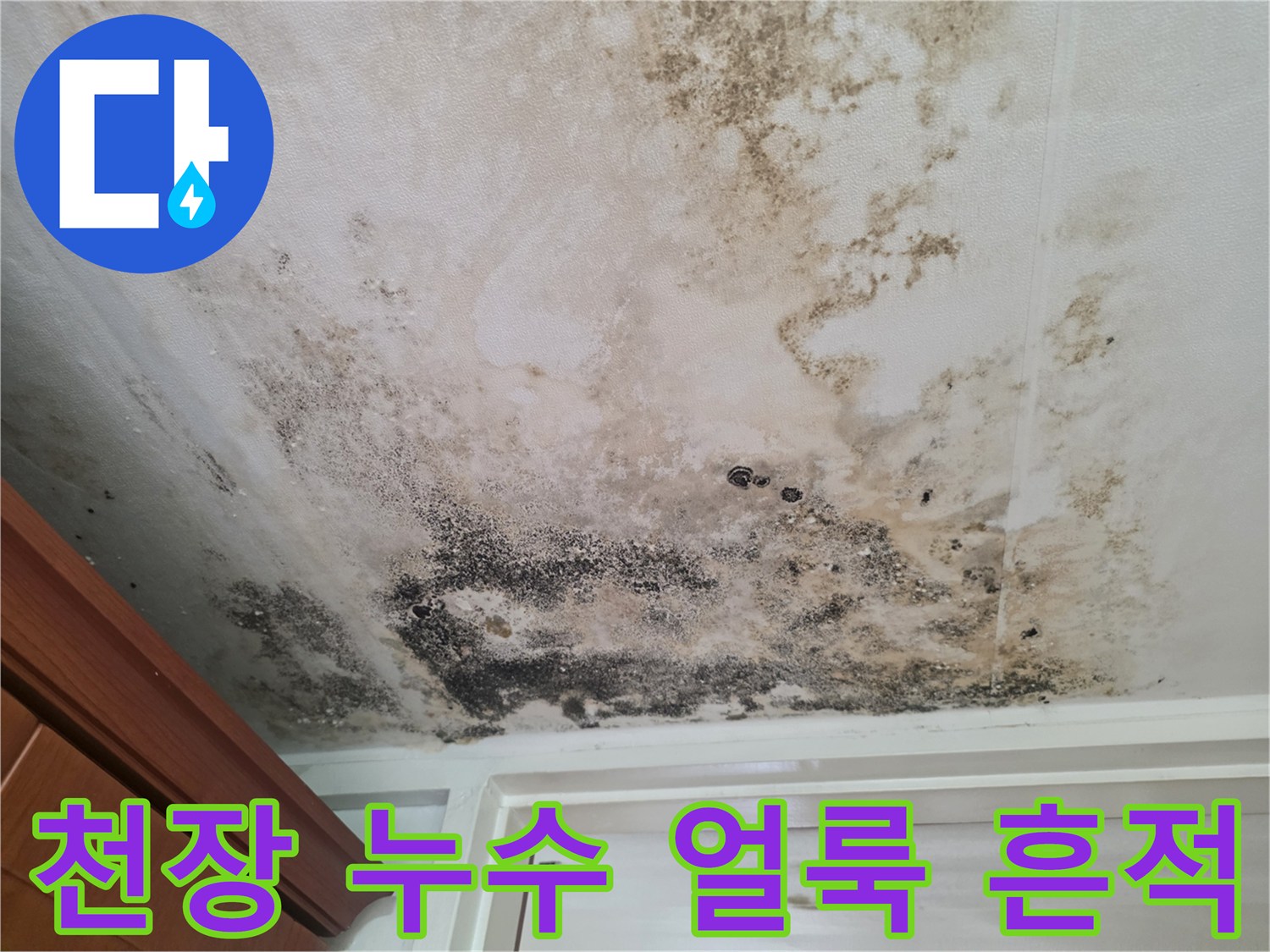천장 벽면의 물자국과 곰팡이가 뒤섞인 현장 모습