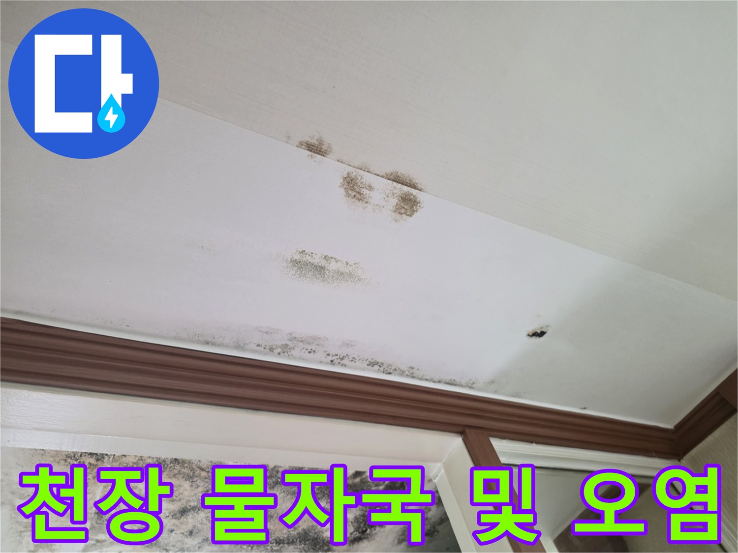 현관 천장-물에 젖어 변색된 마감재와 곰팡이