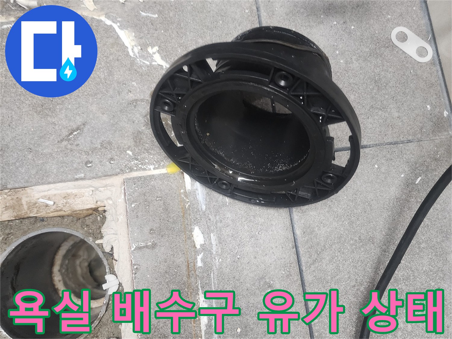 분당 화장실-배수구 주변 유가와 타일 틈새 모습