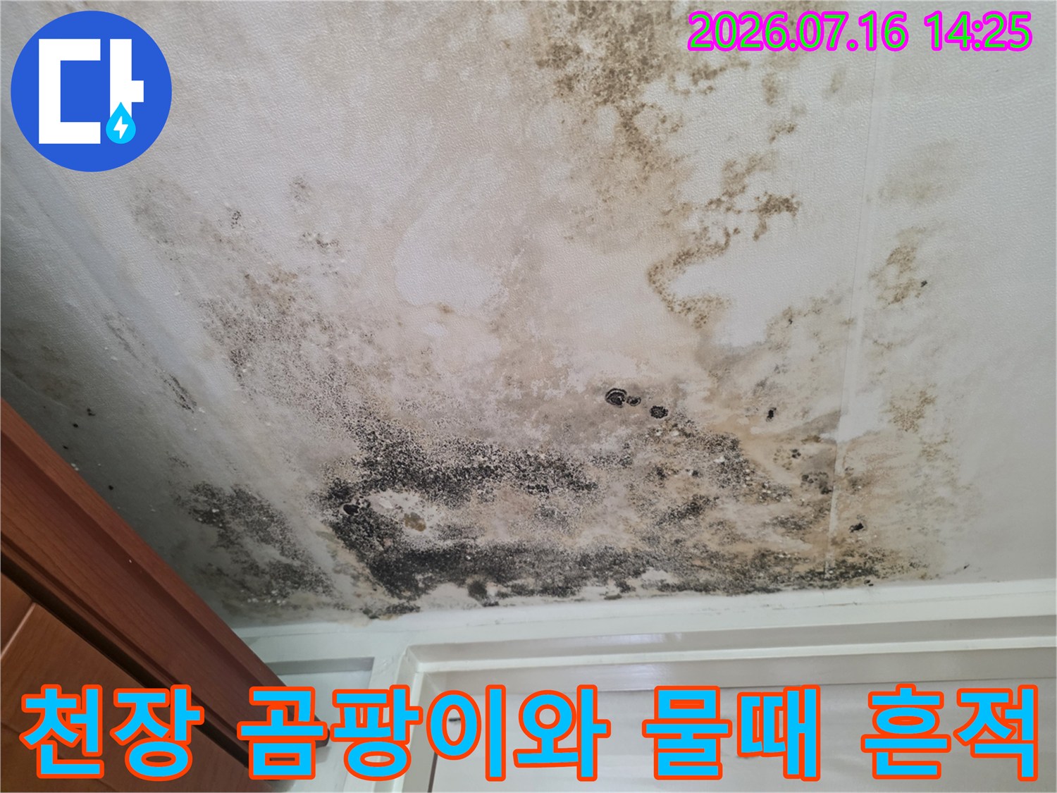 거실 천장에 발생한 검은색 곰팡이와 물에 의한 얼룩 자국