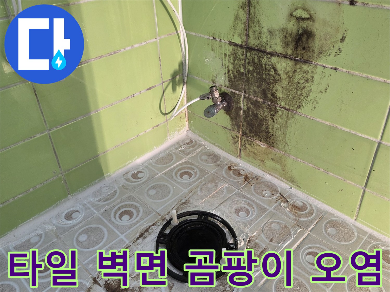 연두색 욕실 타일-배관 주변의 심한 곰팡이와 변색