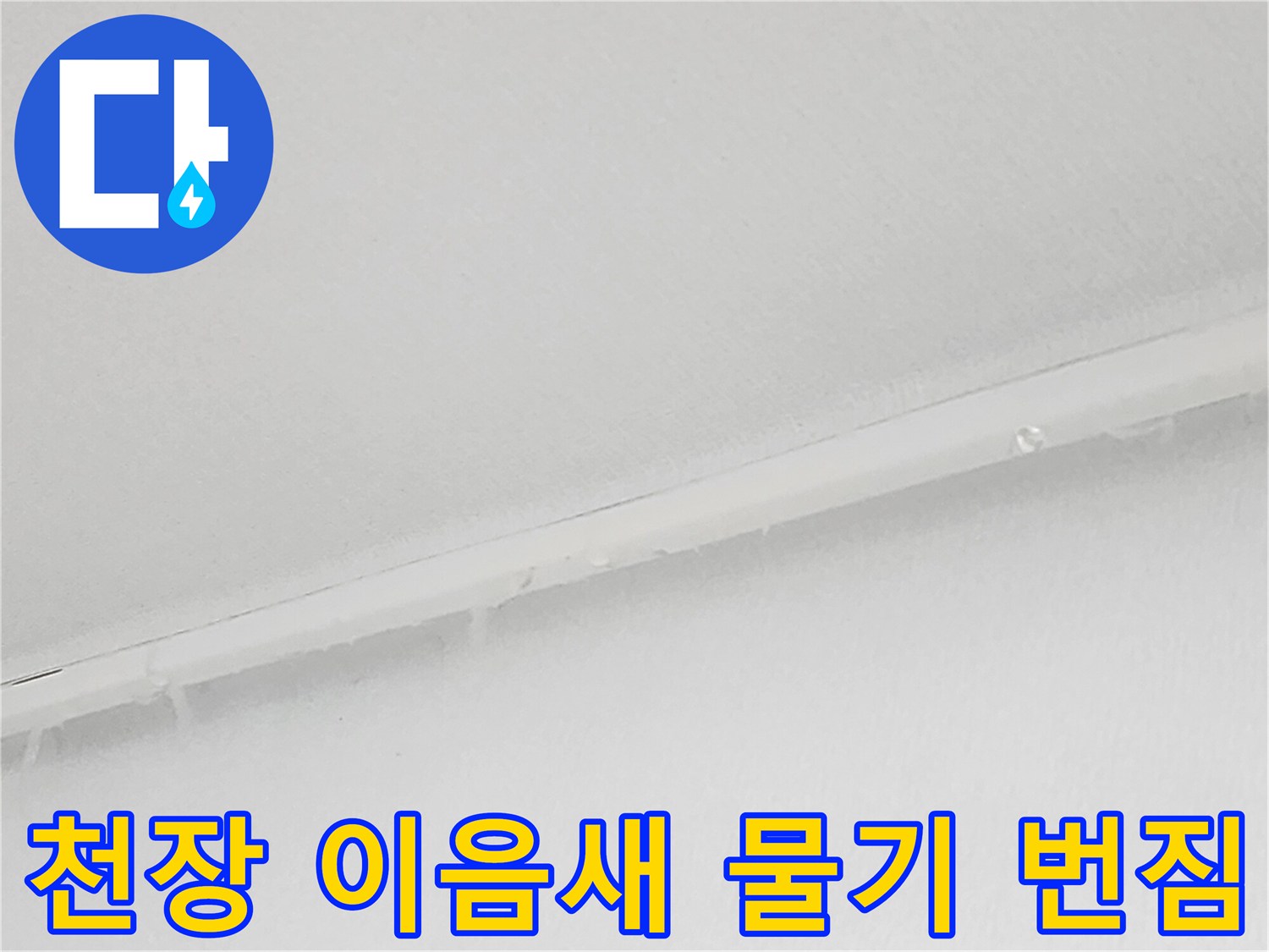 화장실 입구 쪽-천장 마감재 틈새의 습기 현상
