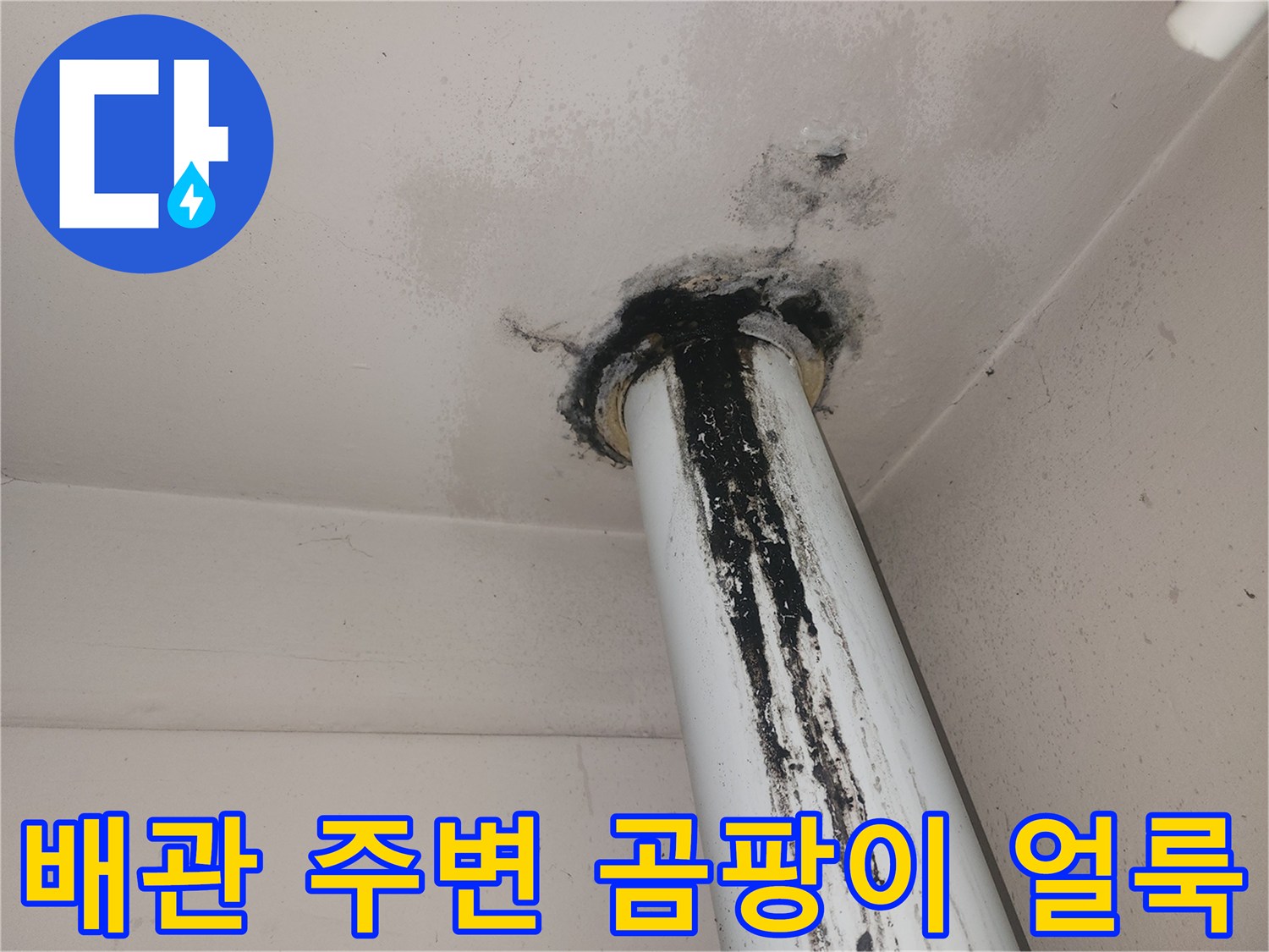 수직 배관 접합부-천장 곰팡이 및 습기 흔적