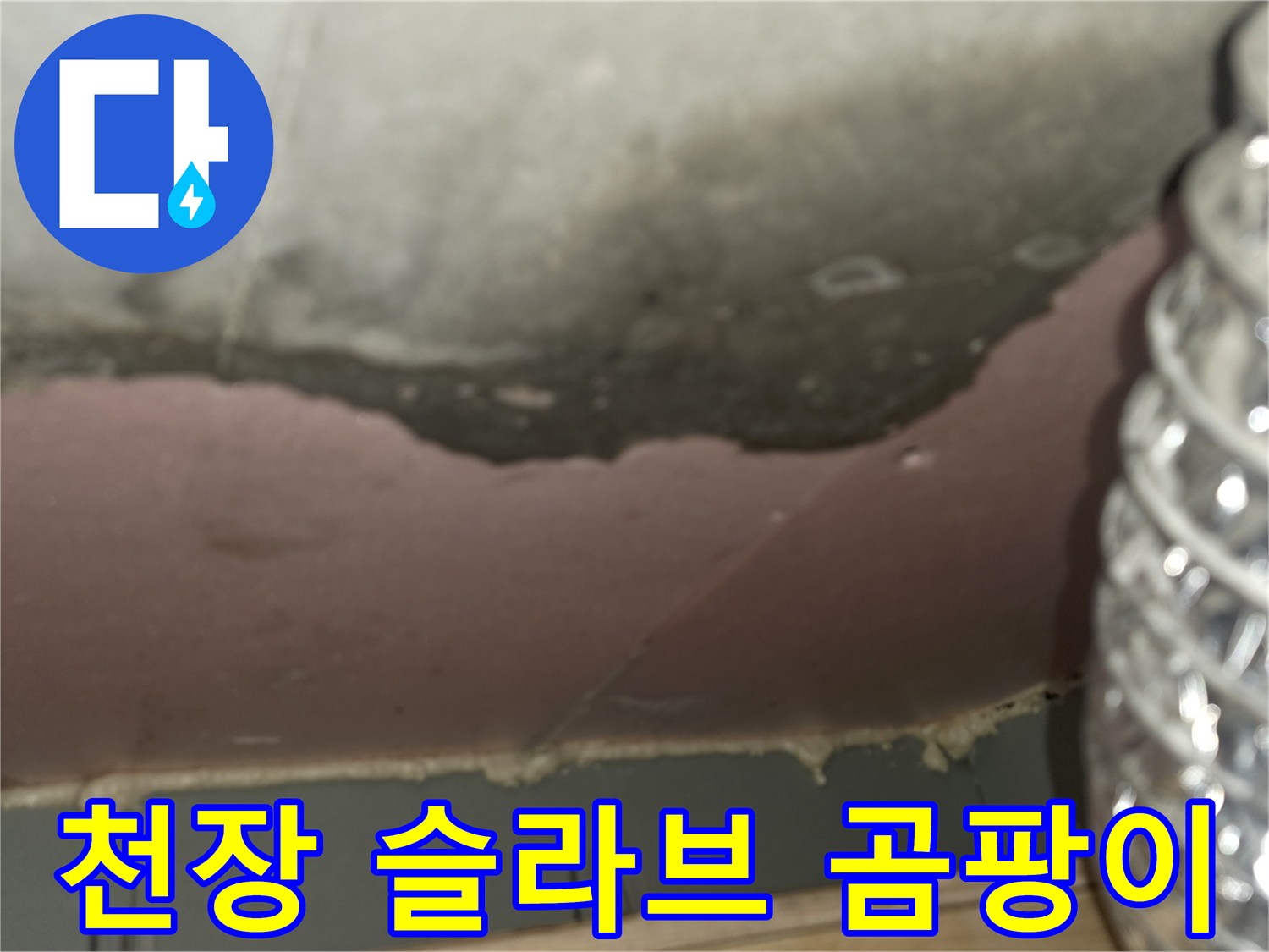 누수로 인해 오염된 천장 구조물 및 슬라브 표면