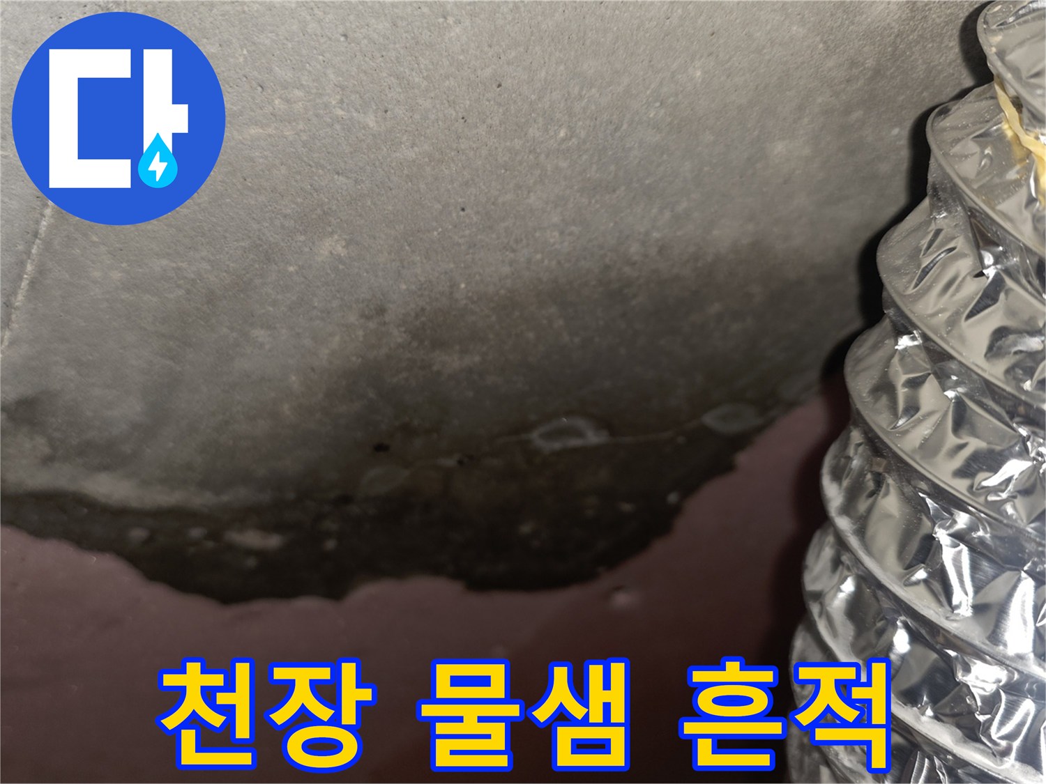 답십리동 아파트-천장 슬라브층-누수 얼룩 및 곰팡이 발생 상태