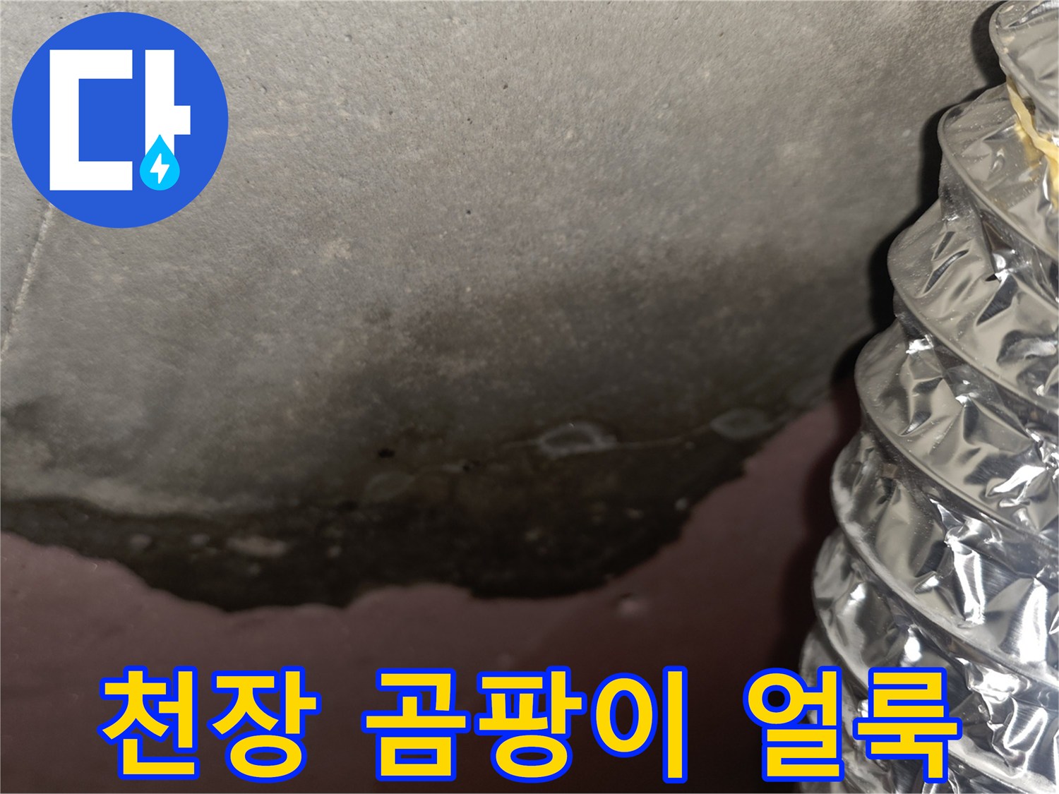 신축 아파트-천장 슬라브 부위의 곰팡이와 습기 흔적