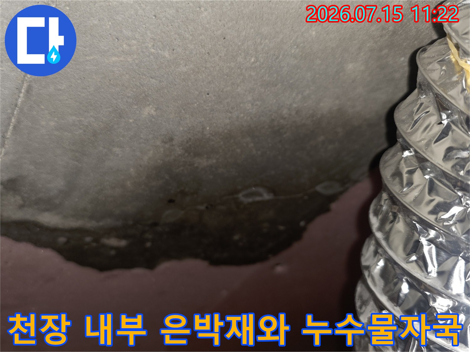 은박 보온재가 감겨 있는 배관과 그 주변으로 넓게 퍼진 천장의 검은색 물 얼룩
