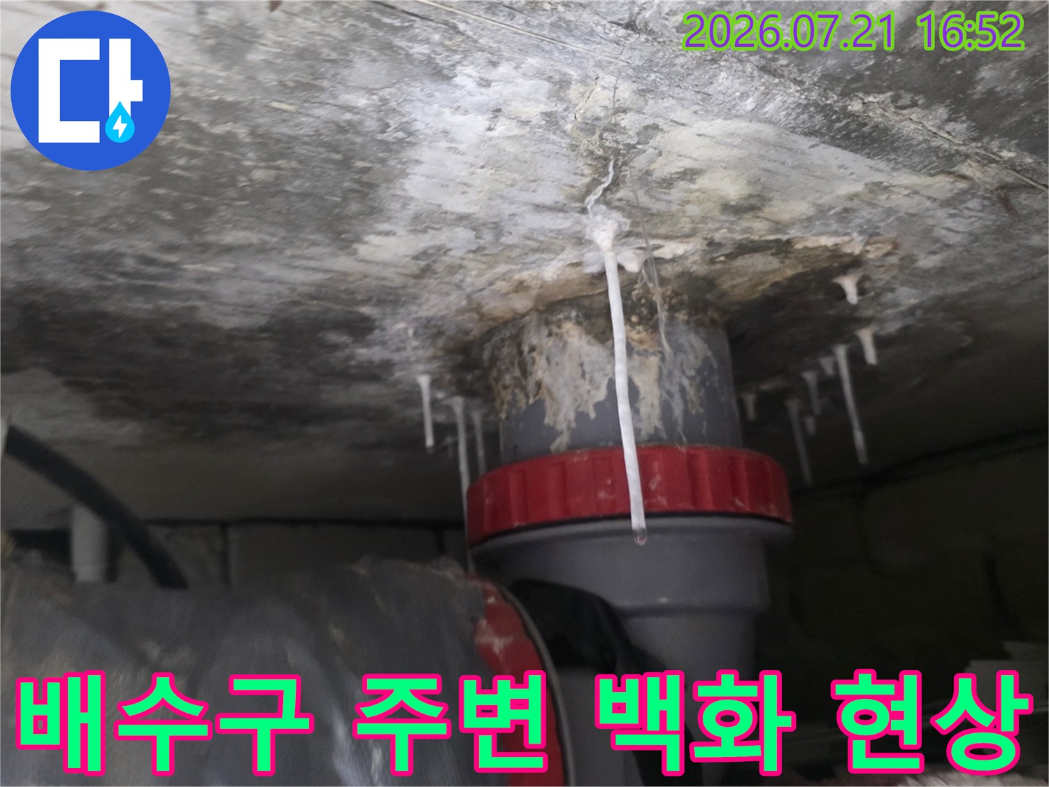 천장 배수구 부근에 발생한 하얀색 백화 현상과 물방울이 맺힌 모습