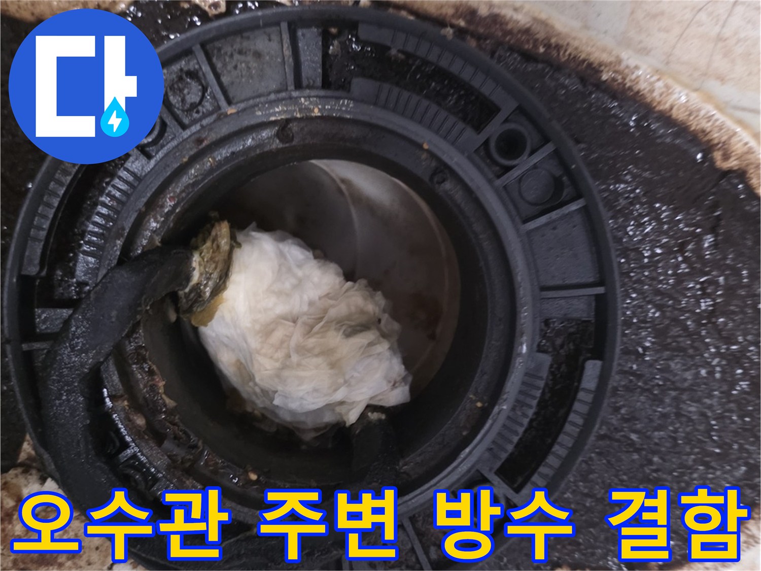 배관 주위의 젖은 타일과 오염된 배수구 내부 모습