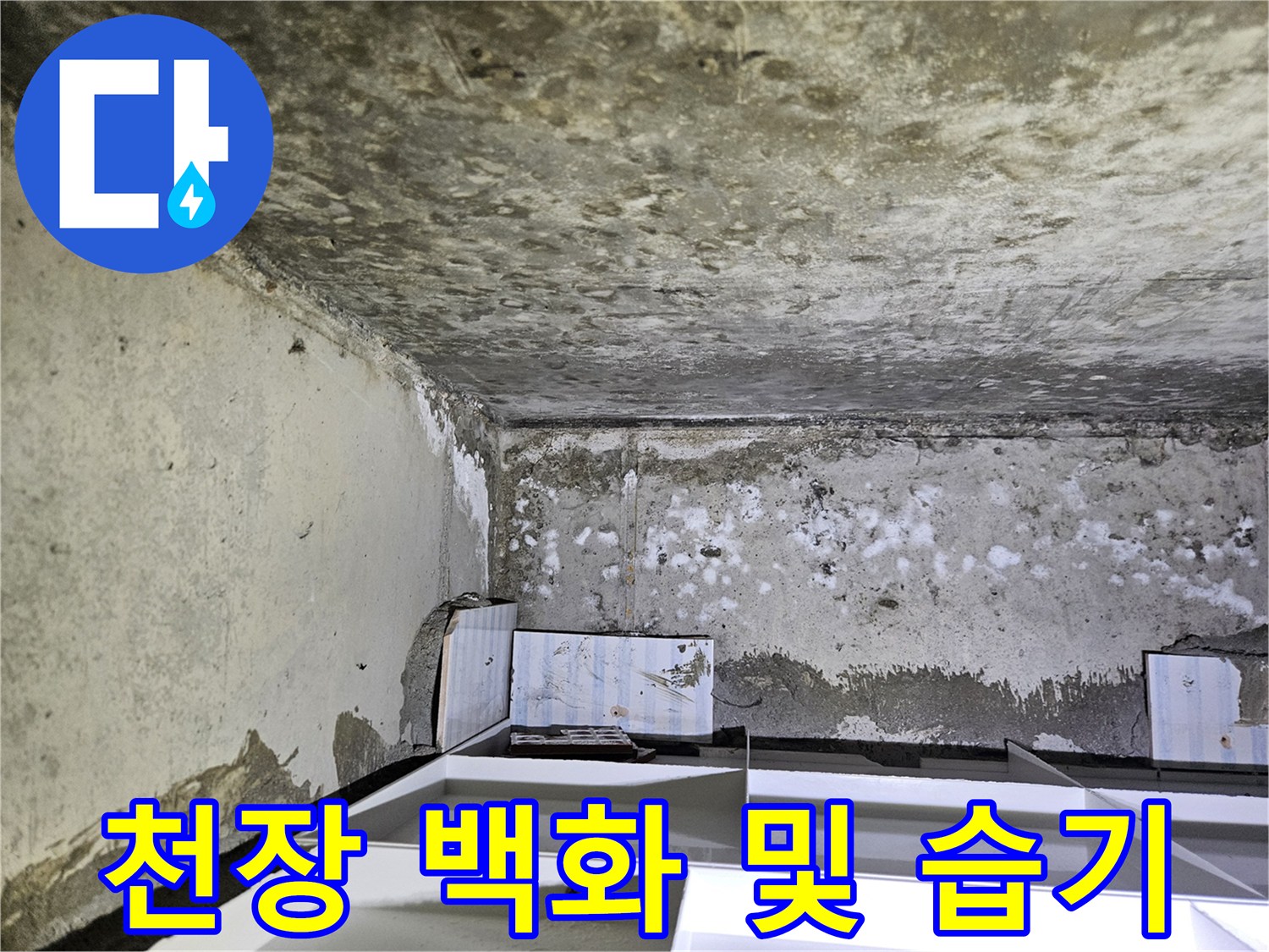 물샘으로 인해 하얗게 부식된 듯한 천장 마감 면적