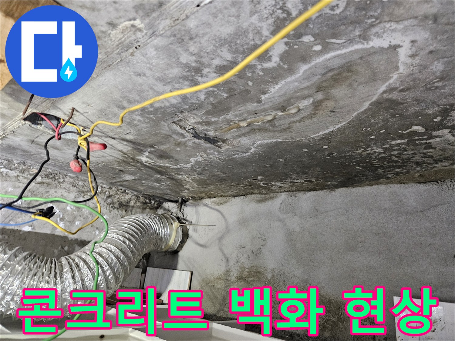 습기로-인해-하얗게-부식된-천장-콘크리트-표면