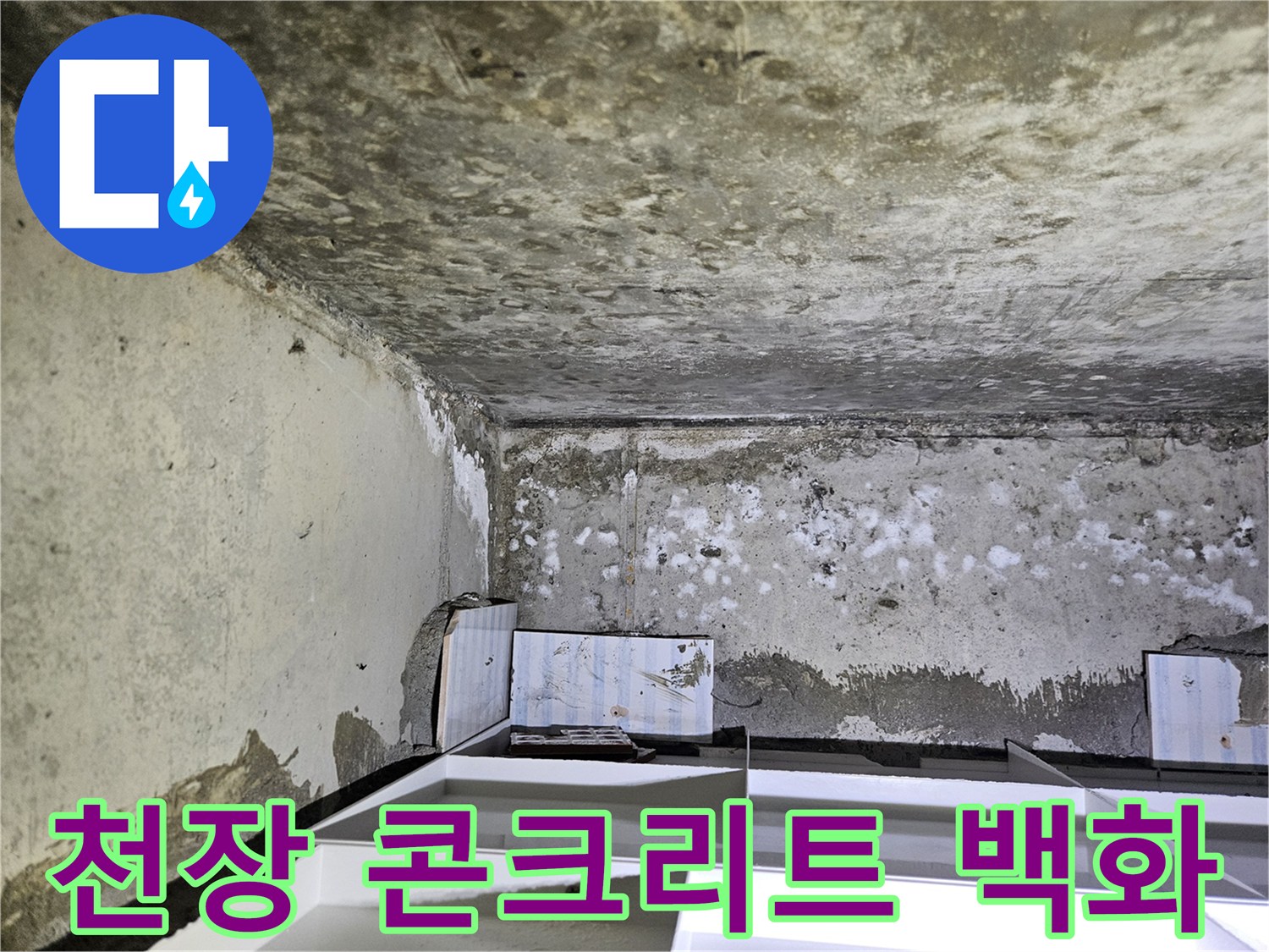 콘크리트 천장-백화와 습기 침투 상태