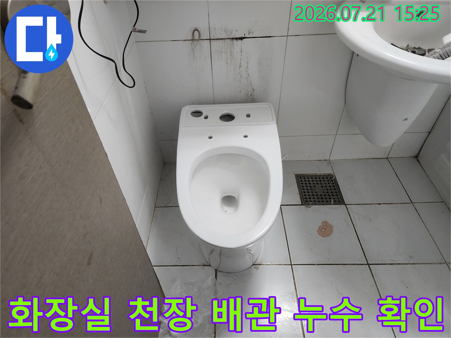 오염된 오수 배관을 점검하며 누수 지점을 파악하는 현장 사진