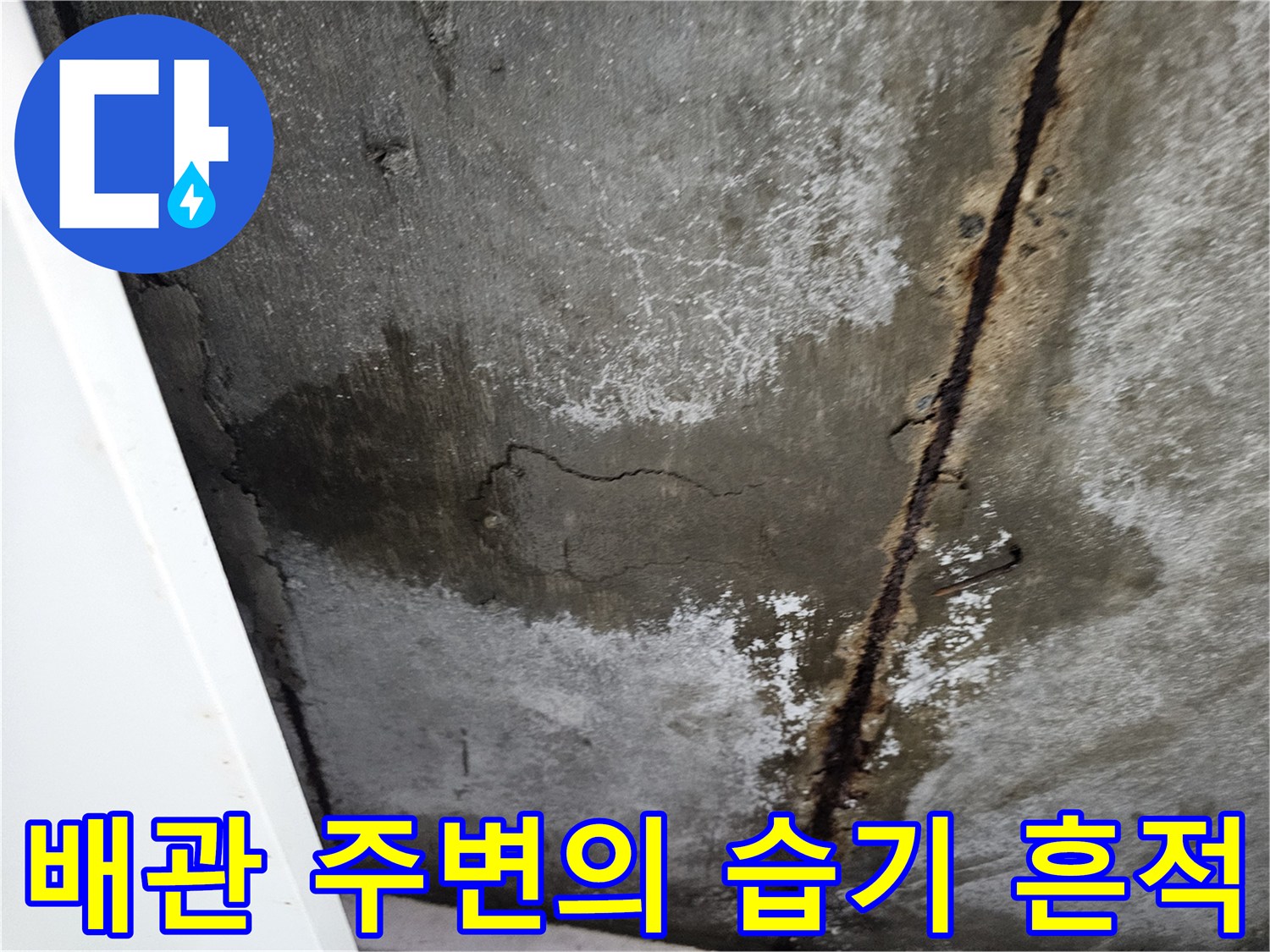 축축하게 젖은-콘크리트 표면과 부식된 철근