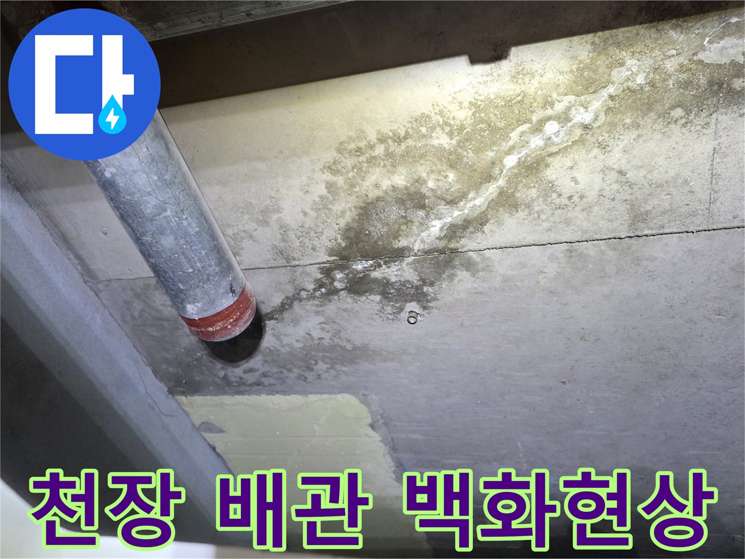 천장 배관 주변에 하얗게 맺힌 백화 현상 사진