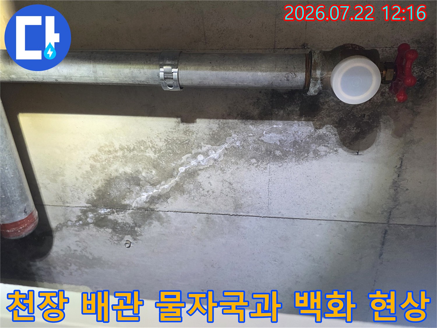 콘크리트 천장에 설치된 금속 배관-연결 부위에서 시작된 누수로 인해 하얀 백화 현상이 나타난 모습