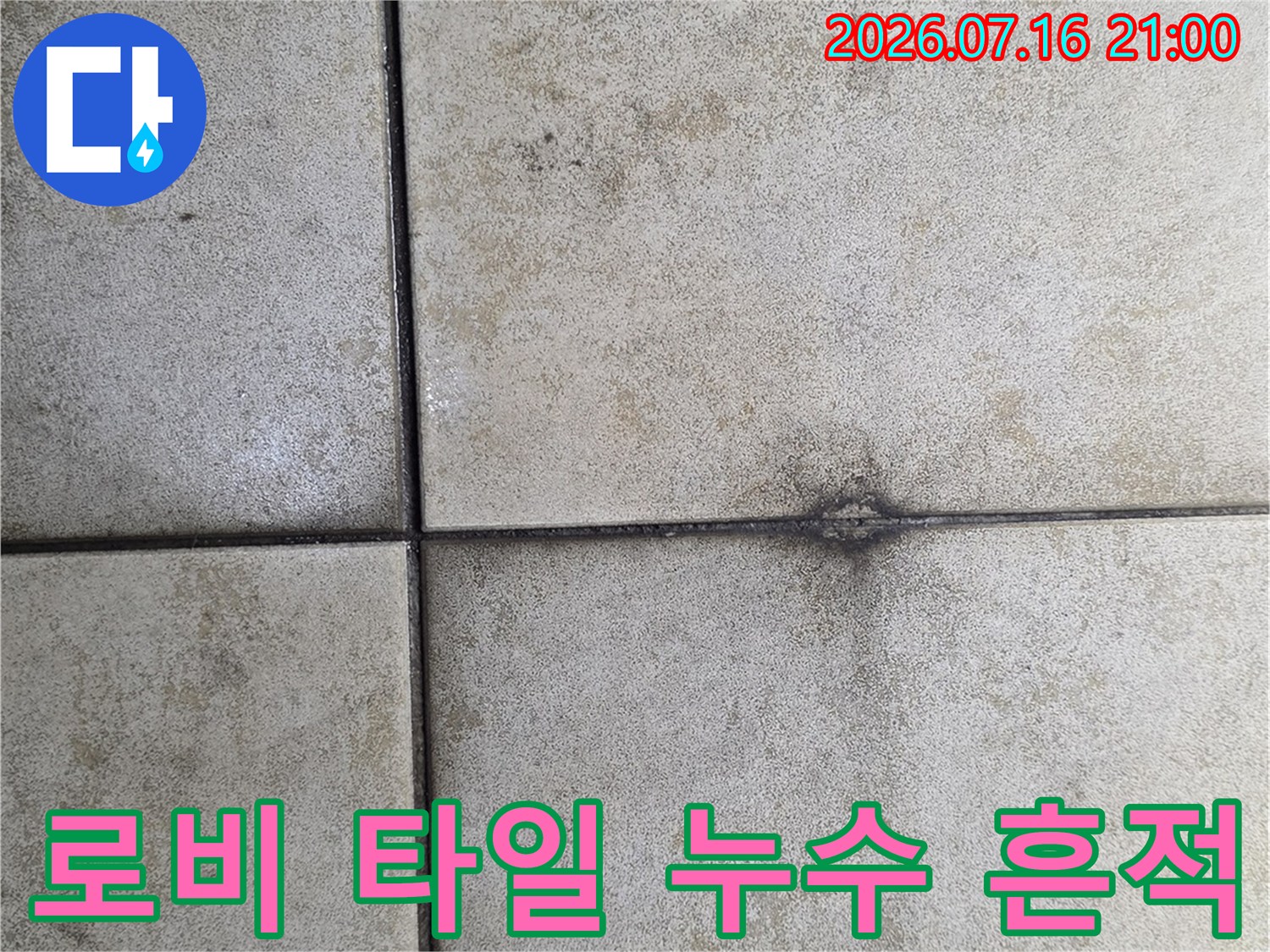 대리석 바닥재 경계 부위에 발생한 수분 번짐과 변색된 구간 촬영