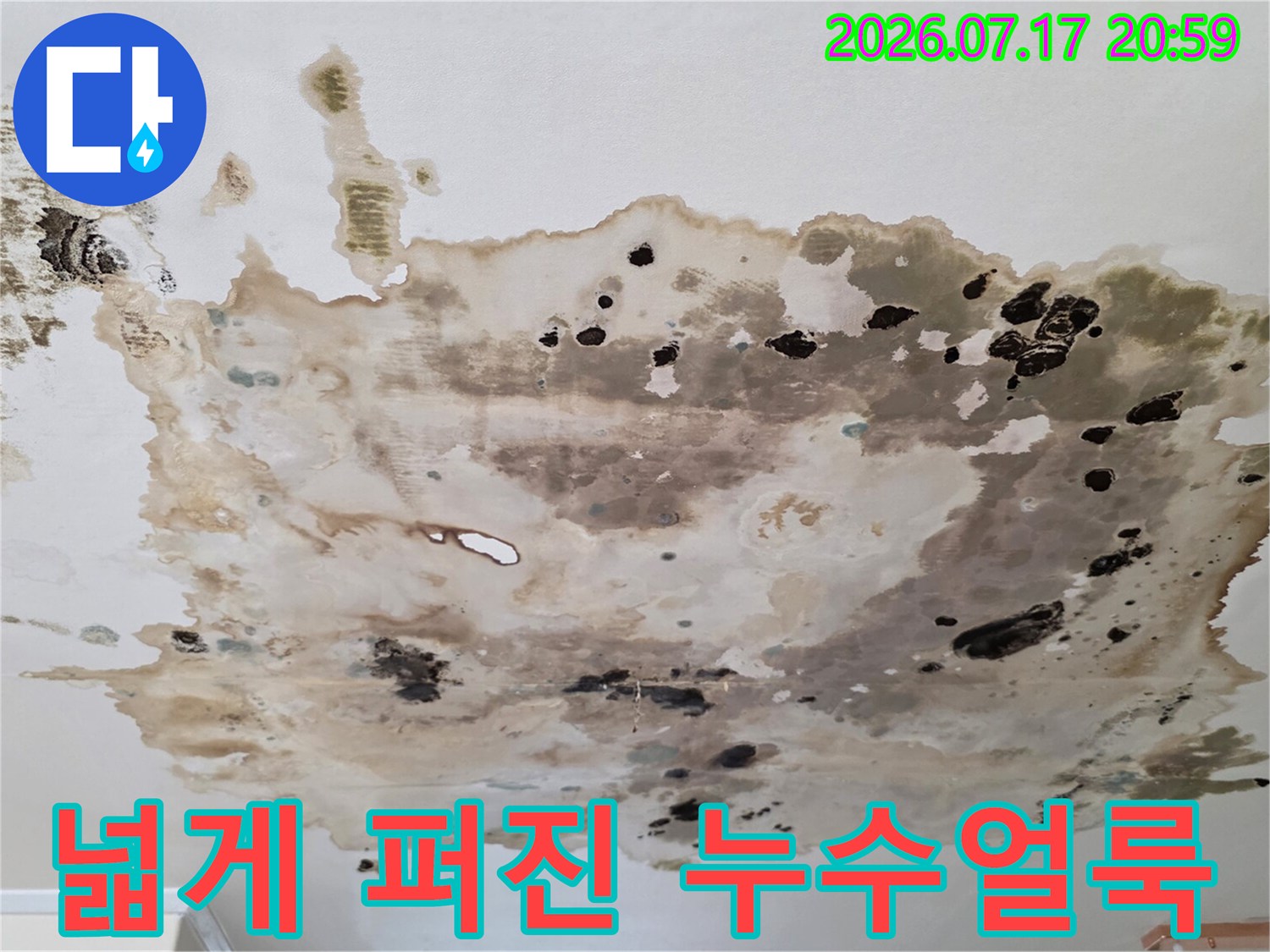 누수로 인한 천장 마감재 오염과 곰팡이 번식 상태를 촬영한 사진