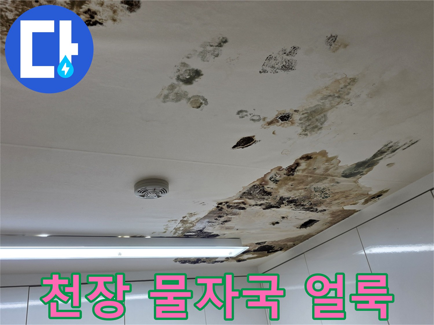 천장-마감재-위에-퍼져있는-물자국과-곰팡이