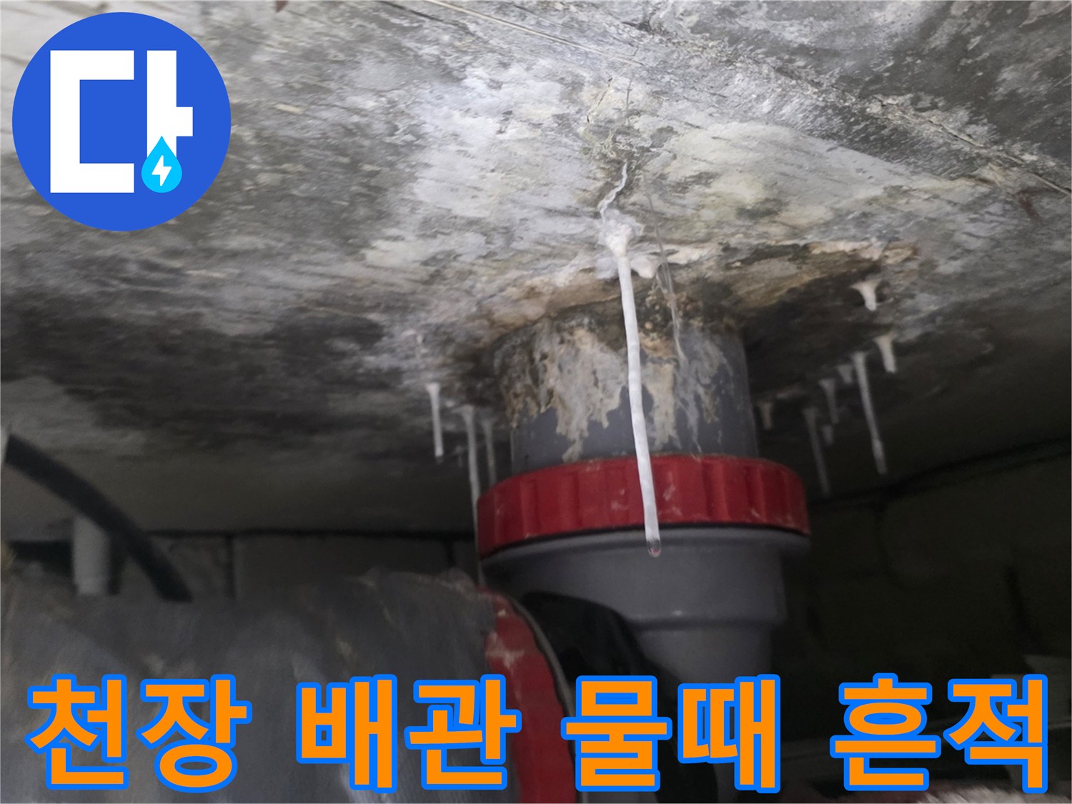 화장실 천장 구조물과 오염된 배관 연결 부위 촬영