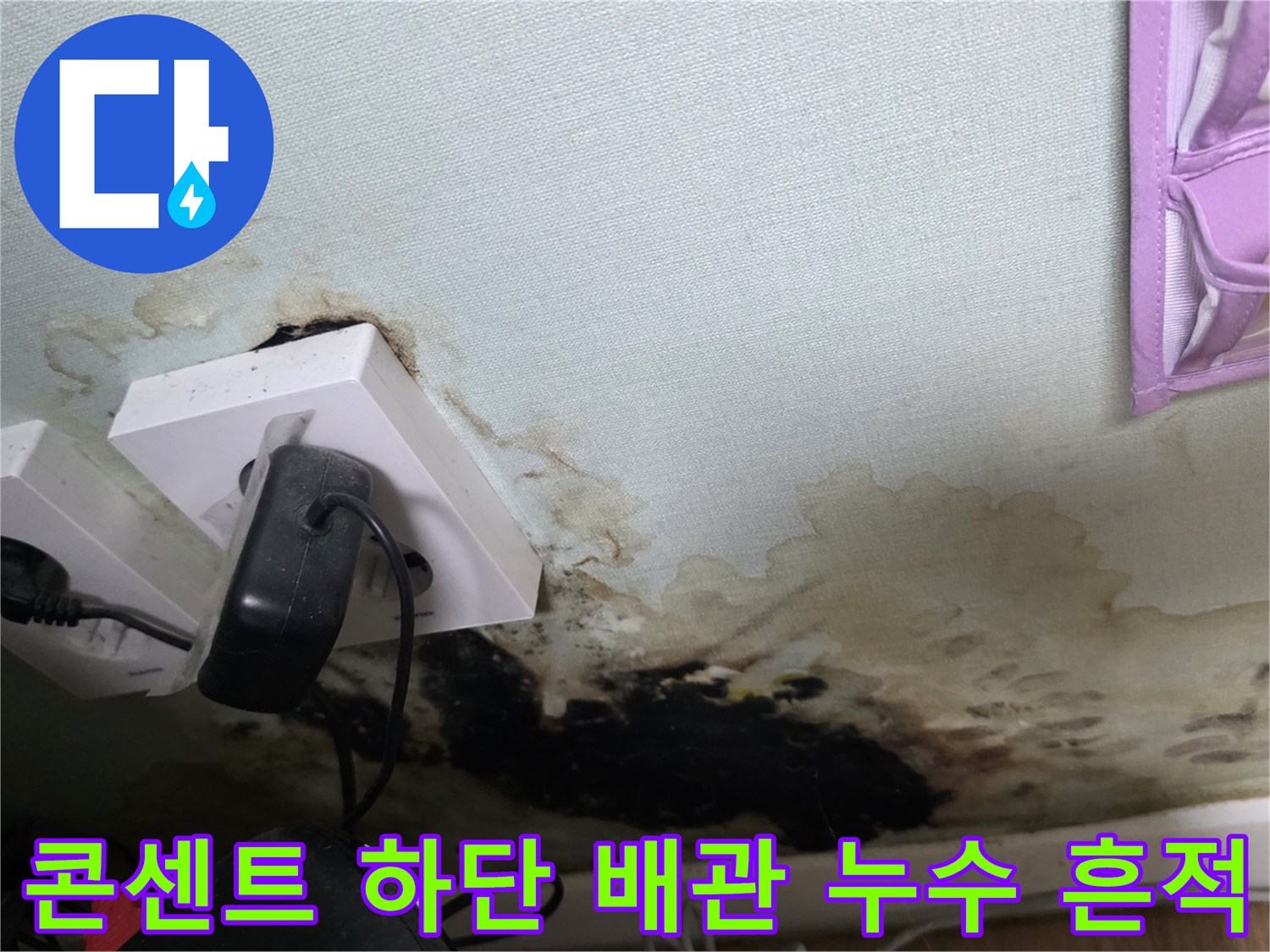 벽면 콘센트 아래쪽의 심한 변색과 곰팡이 번식 상태