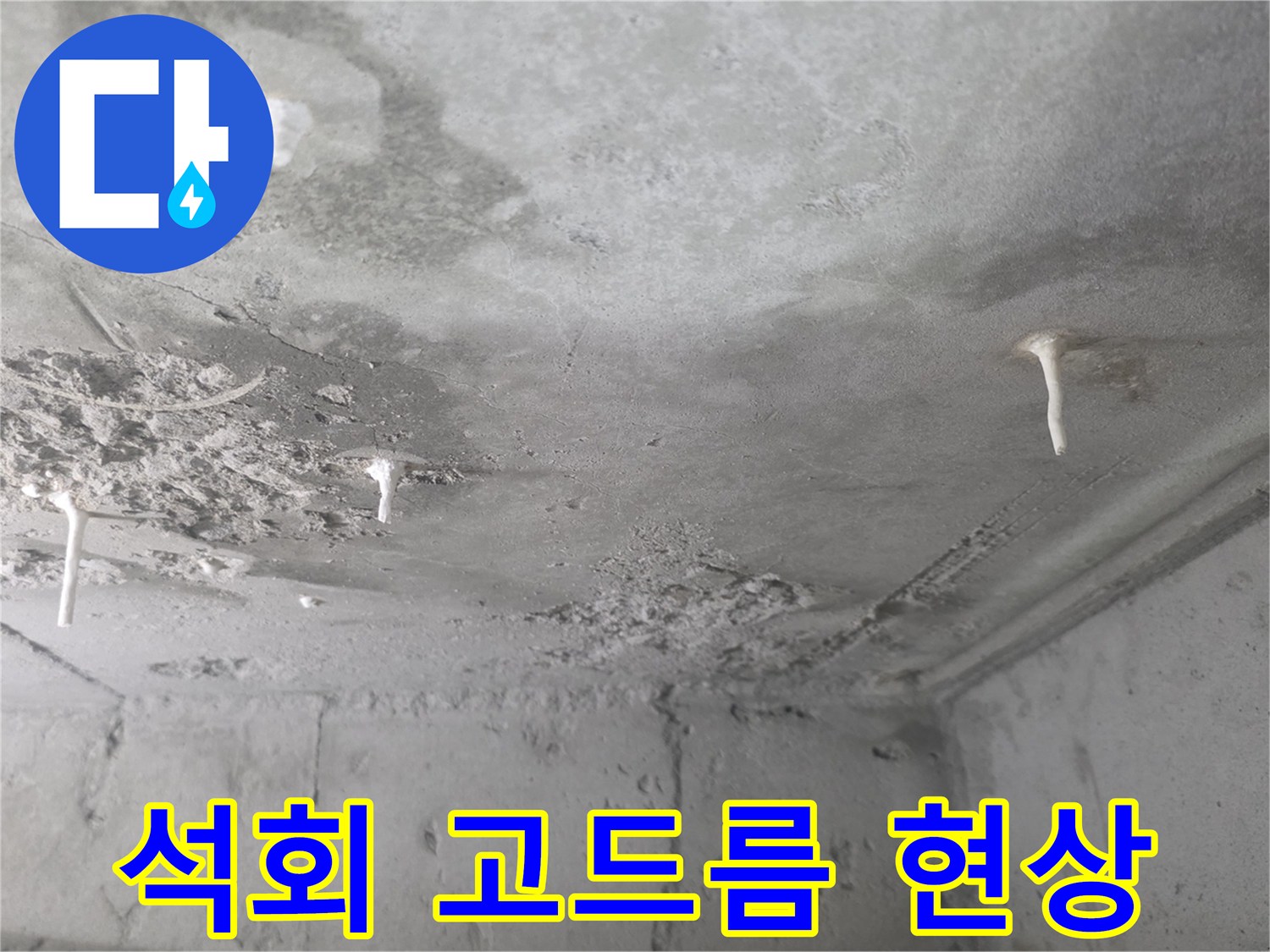 천장-콘크리트-틈새로-스며나온-석회물
