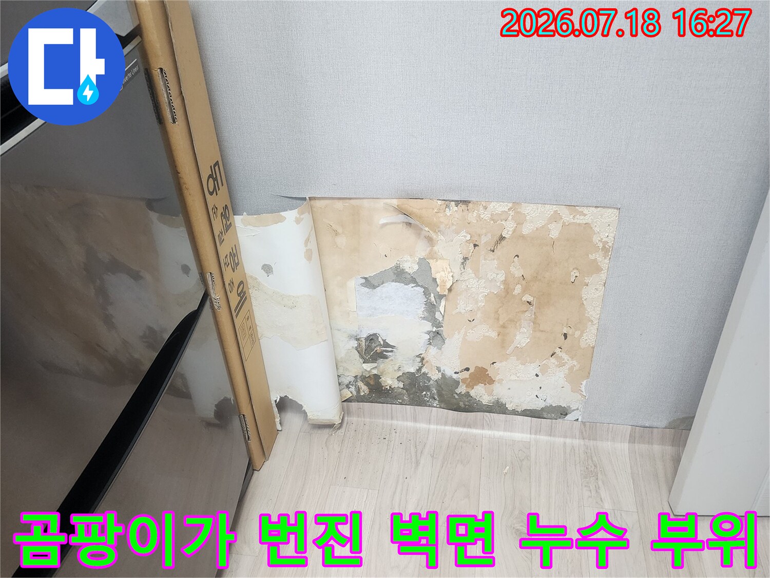누수로 인해 젖어 들어간 회색빛과 갈색빛의 오염된 벽지-내부 배관 결함 증거