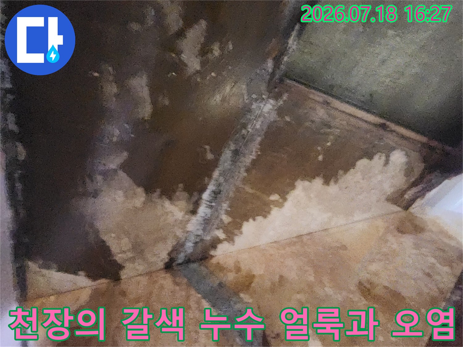 물이 새어 나와 마감재가 변색되고 곰팡이가 번진 천장 내부의 모습