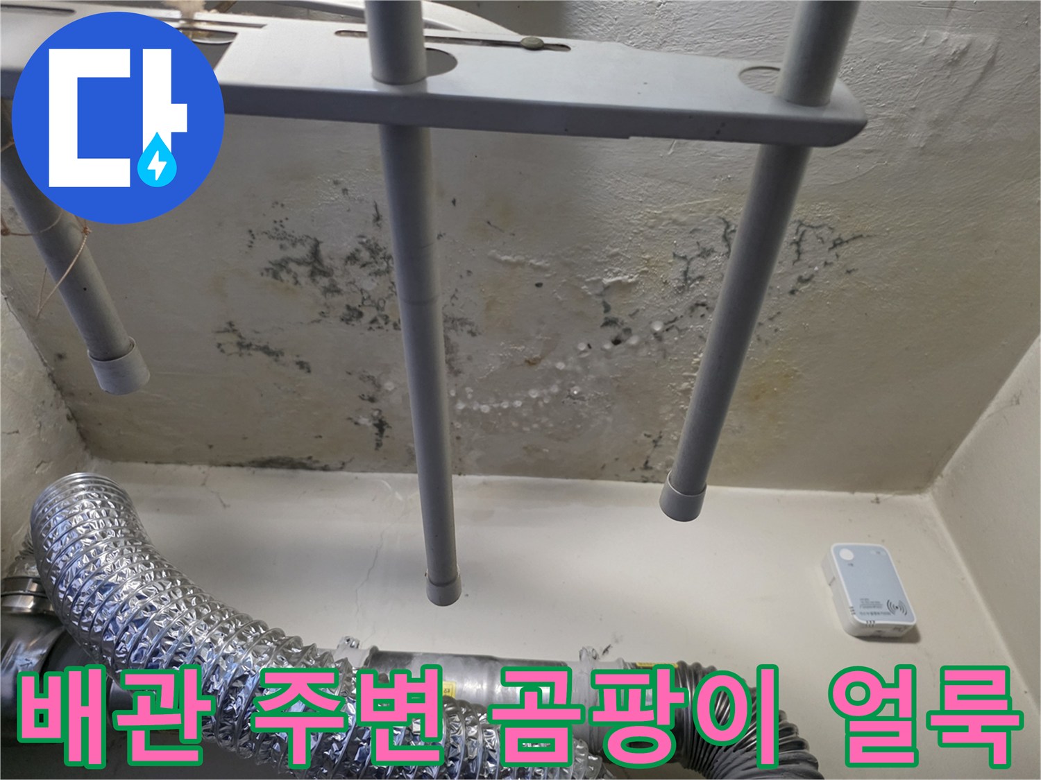 배관 하단 벽면에 나타난 젖은 자국과 검은 곰팡이