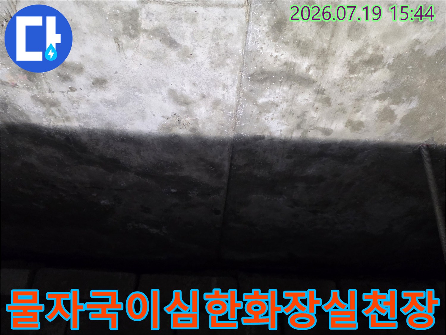 콘크리트로 이루어진 화장실 천장에 누수로 인한 짙은 물 얼룩과 습기가 퍼져 있는 모습