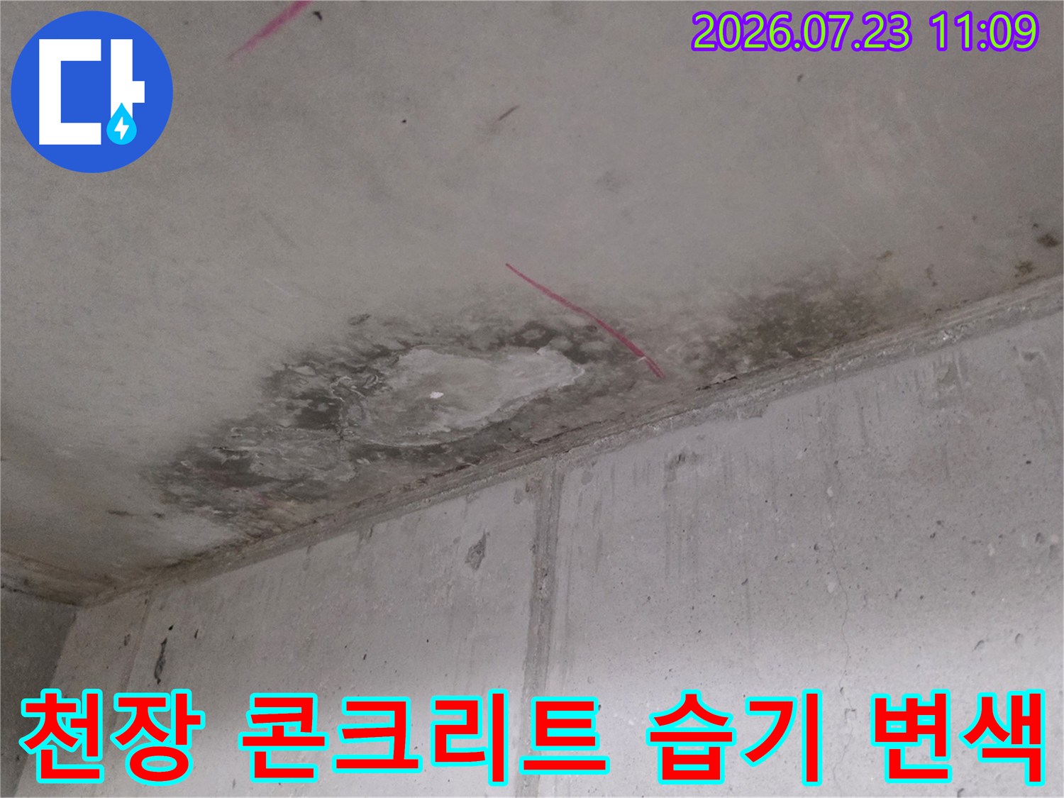 콘크리트-천장면의-회색빛-얼룩과-물샘으로-인한-표면-부식-현상