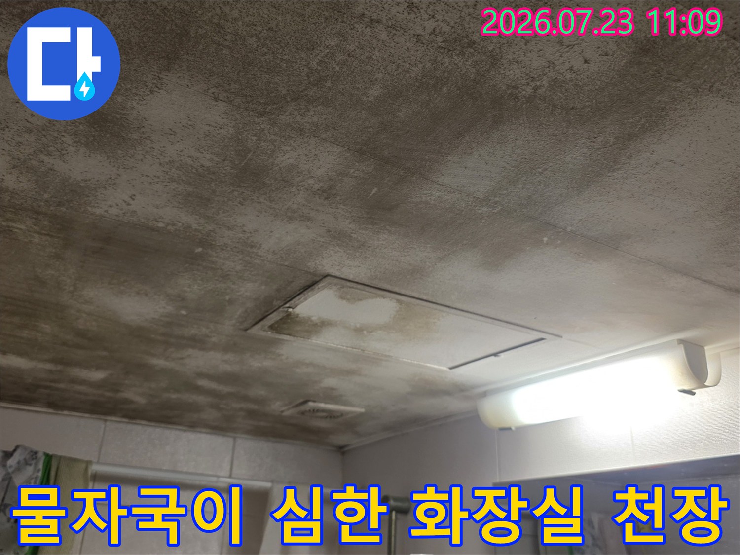 화장실 천장의 넓은 부위에 갈색 물 얼룩과 곰팡이가 퍼져 있는 모습