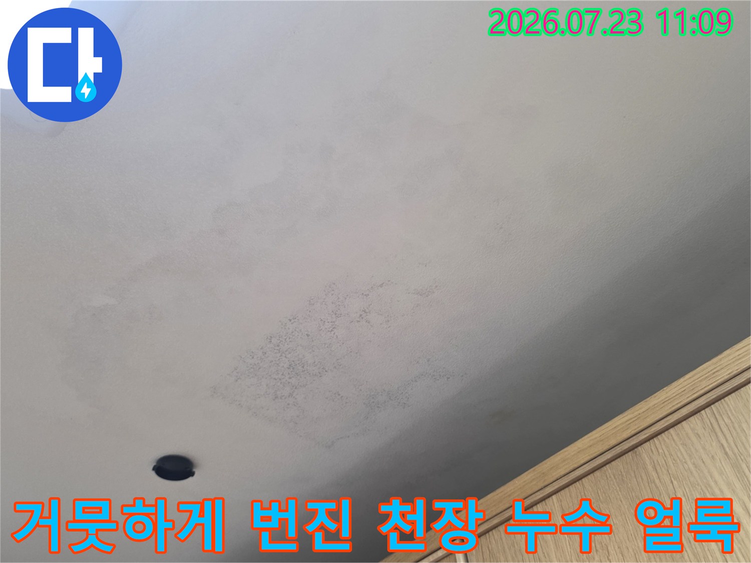 흰색-천장-표면에-불규칙하게-퍼져있는-물젖은-자국과-곰팡이-흔적