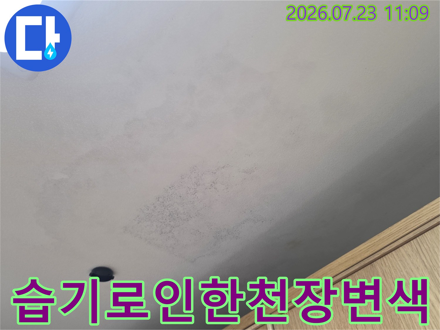흰색-천장재에-누수로-인해-회색빛-얼룩과-곰팡이가-발생한-모습
