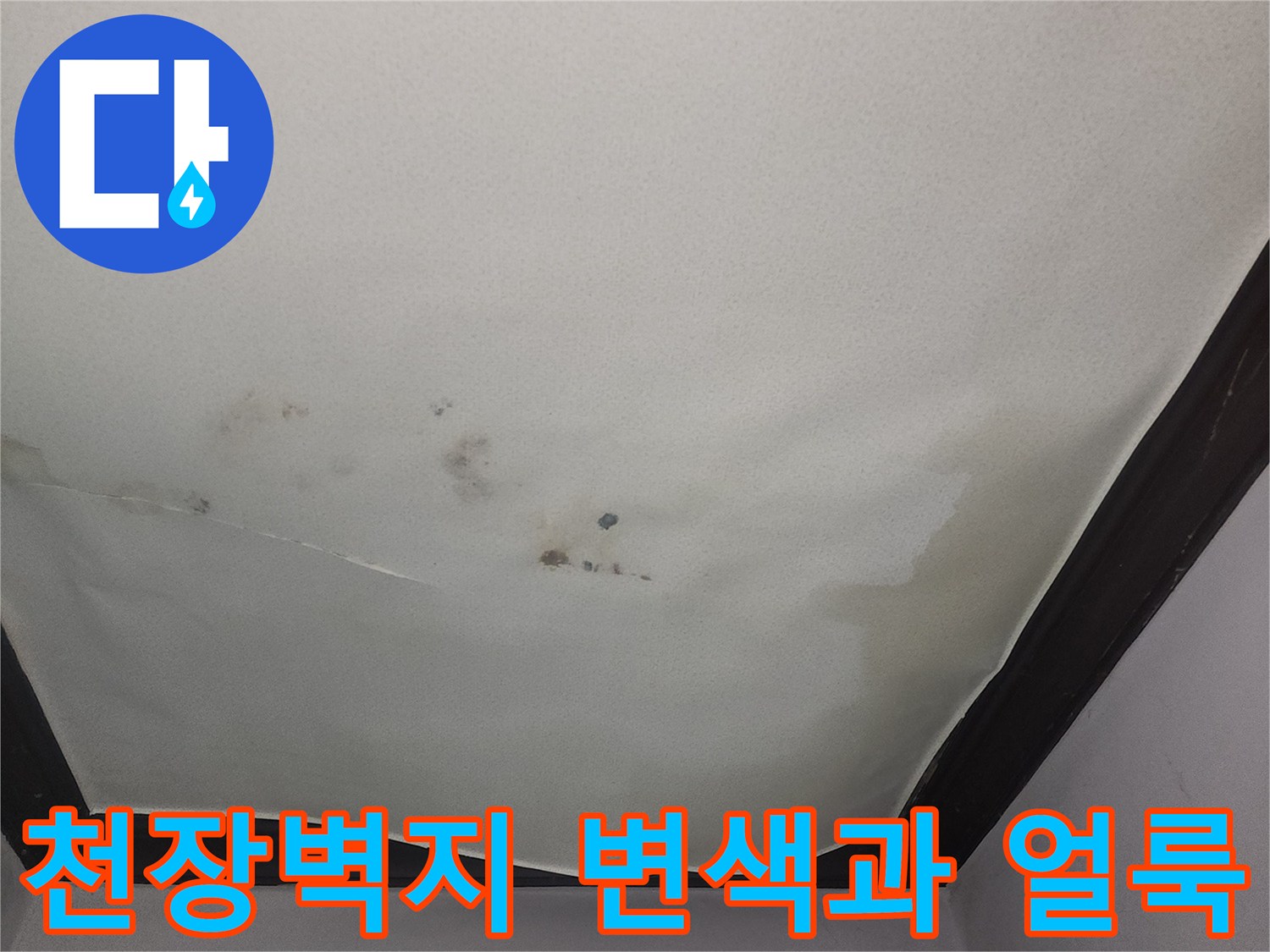 아랫집-거실-천장지에-발생한-변색과-얼룩-상태