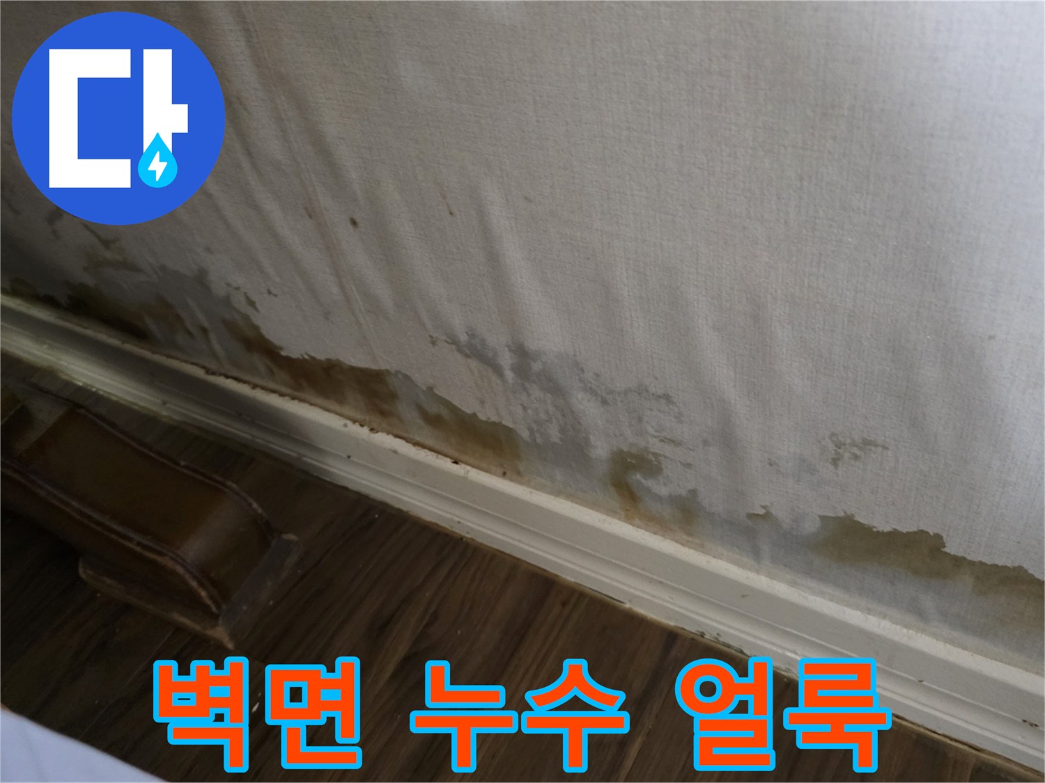 성북구 정릉동 빌라 벽면 하단에 발생한 누수 흔적과 습기 상태