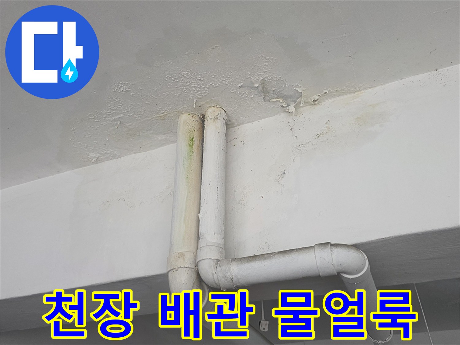 성북구 정릉동 빌라-천장 배관 주변의 누수 흔적과 습기 상태