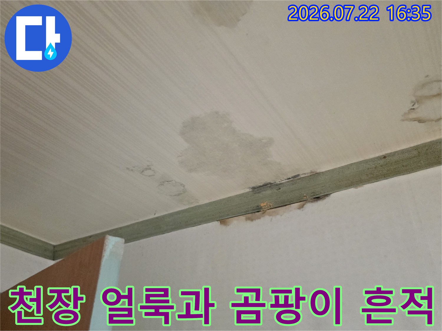 흰색 천장에 발생한 노란색 누수 얼룩-그리고 모서리 부분의 곰팡이 현상