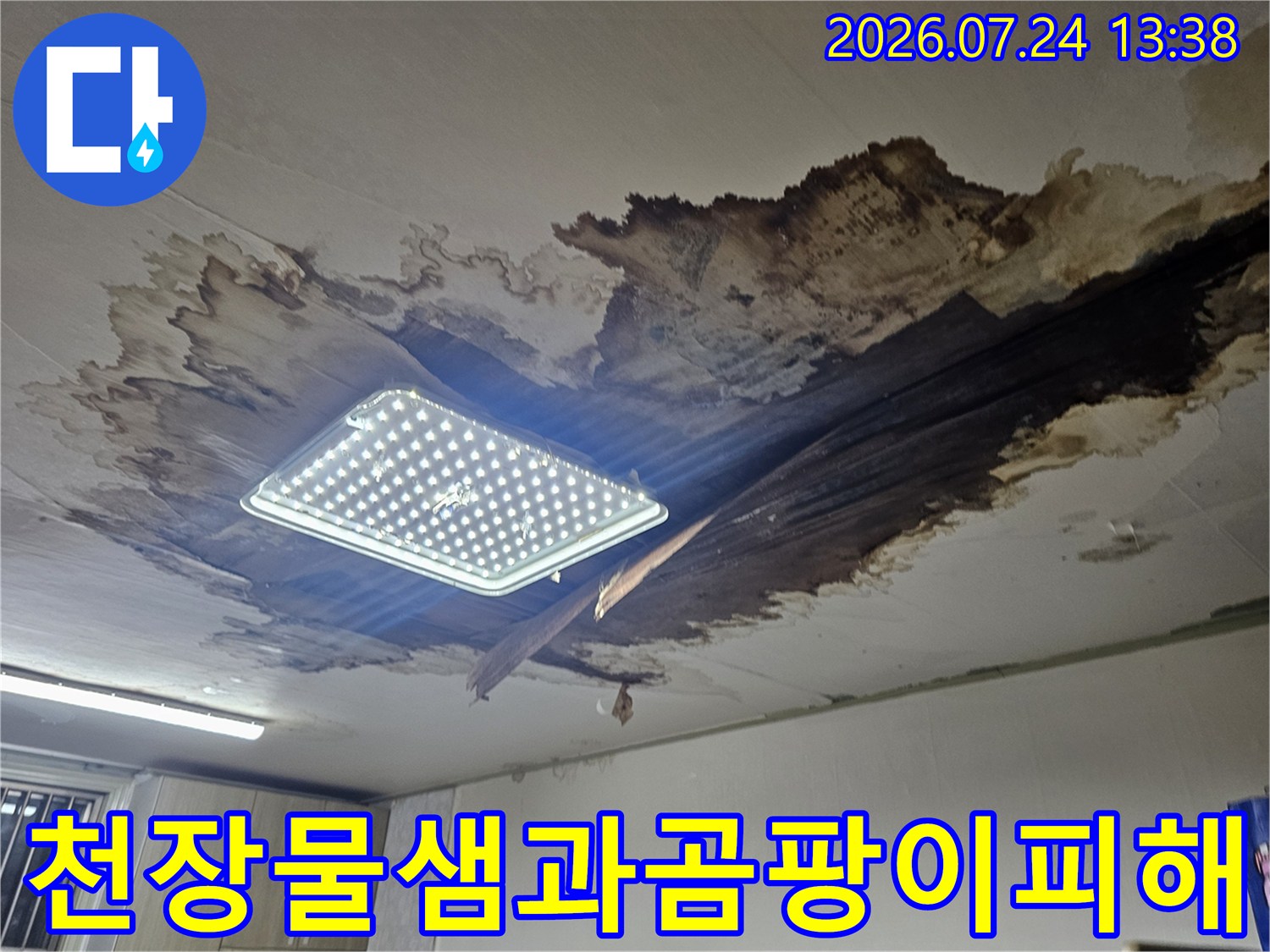 천장-전등-주변으로-심한-물자국과-검은-곰팡이가-퍼져있는-상태