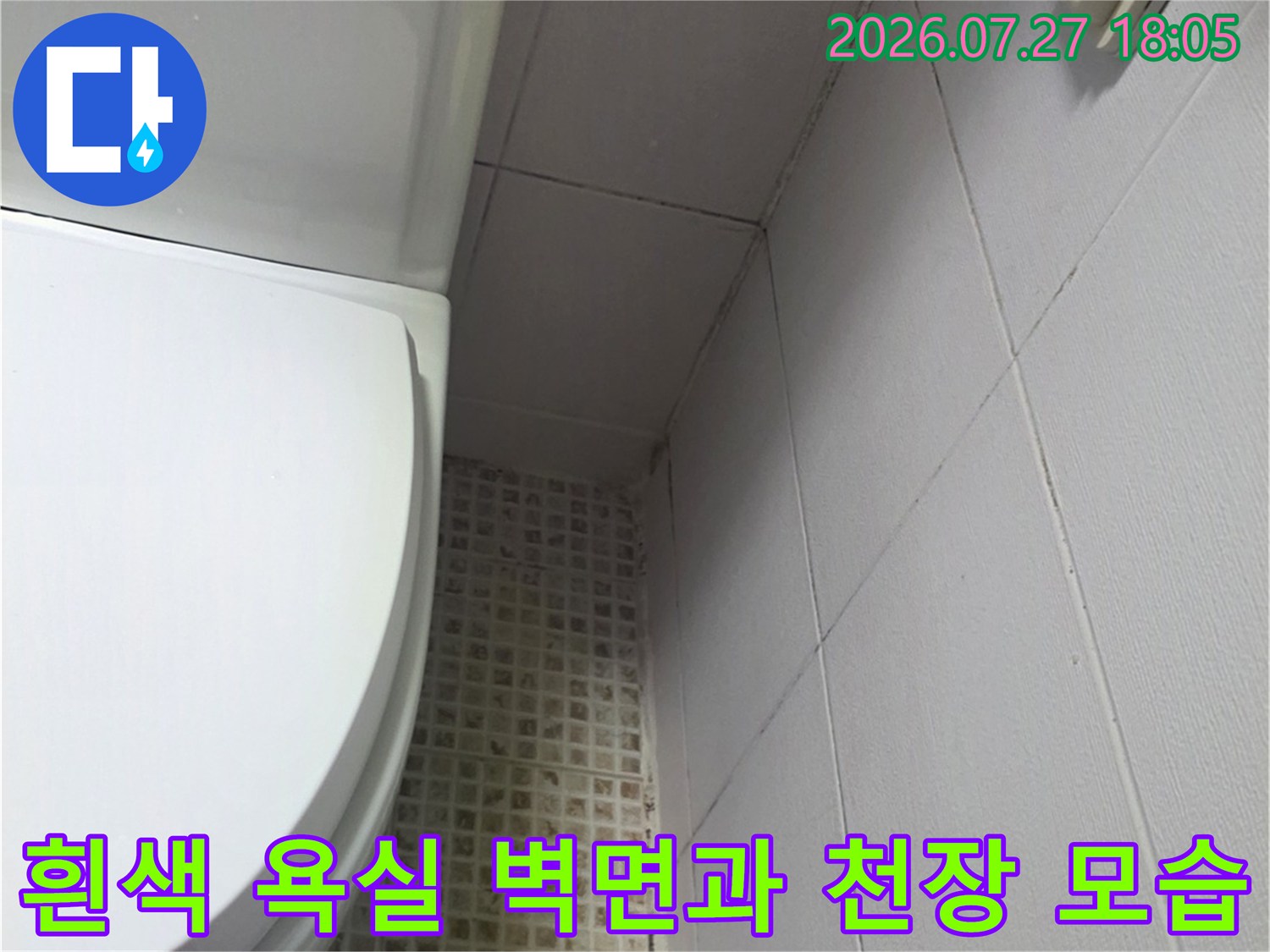 격자무늬 타일 벽면과 흰색 천장 그리고 욕조 일부가 촬영된 사진