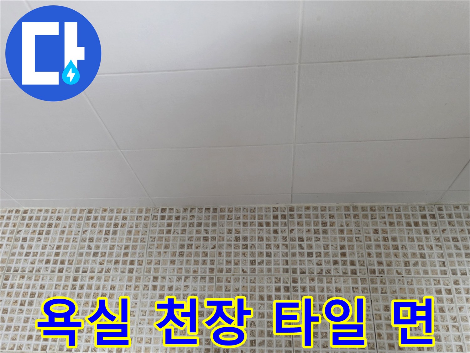 균일한 크기의 타일로 구성된 욕실 천장 내부 모습입니다.
